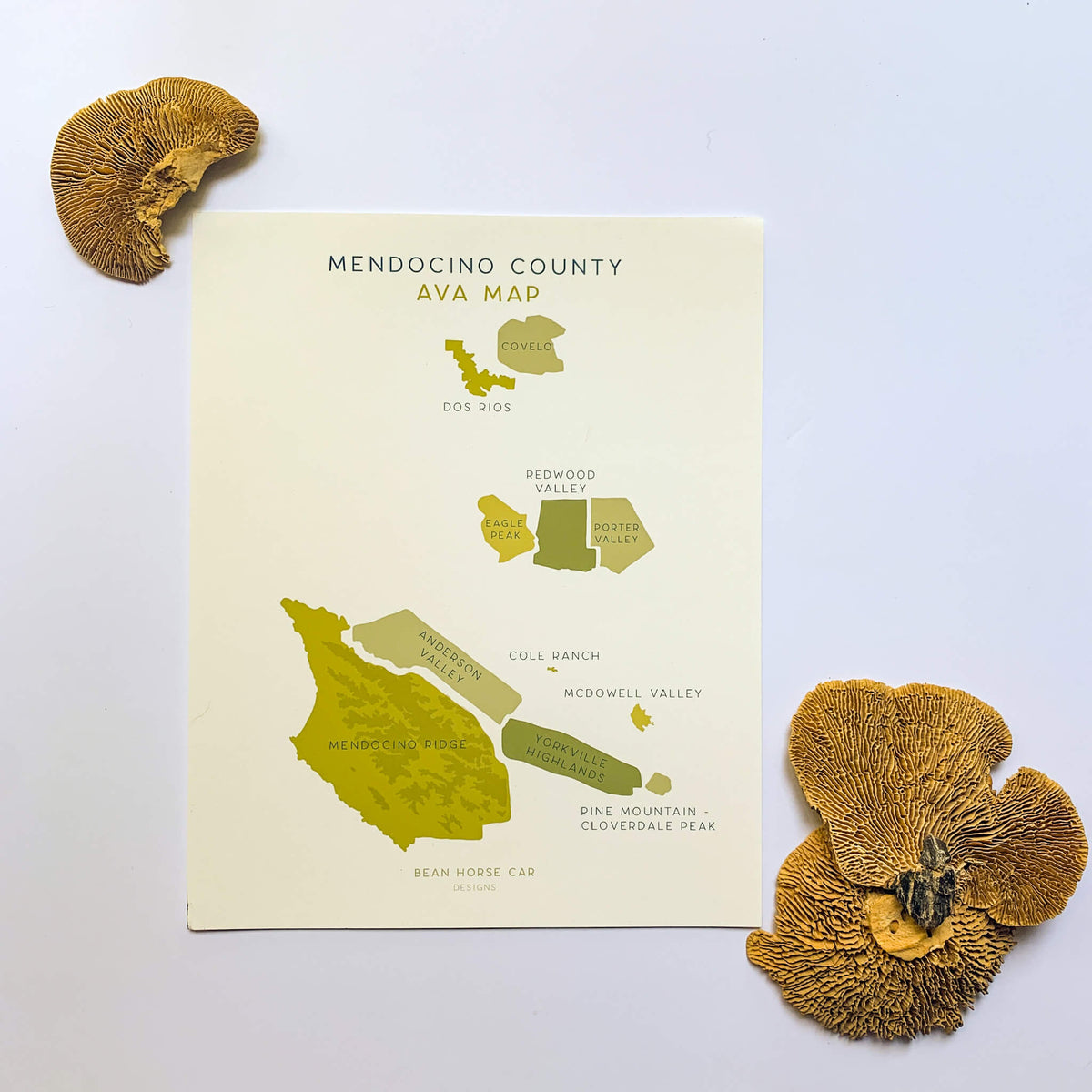 AVA Map Mendocino County Labeled Art Print Bean Horse Car Designs