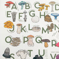 SALE Misprint - Mushroom Alphabet Art Print