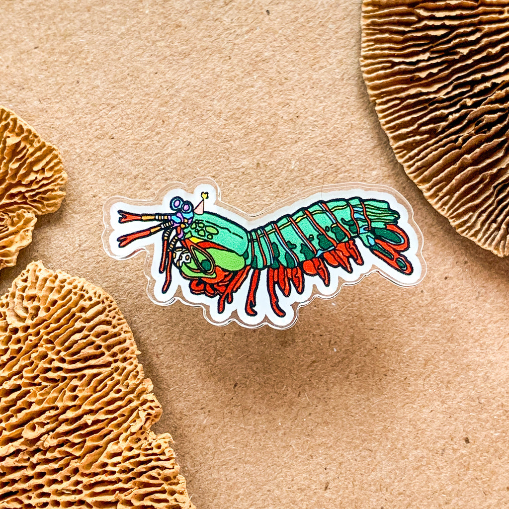 Party Mantis Shrimp Acrylic Pin