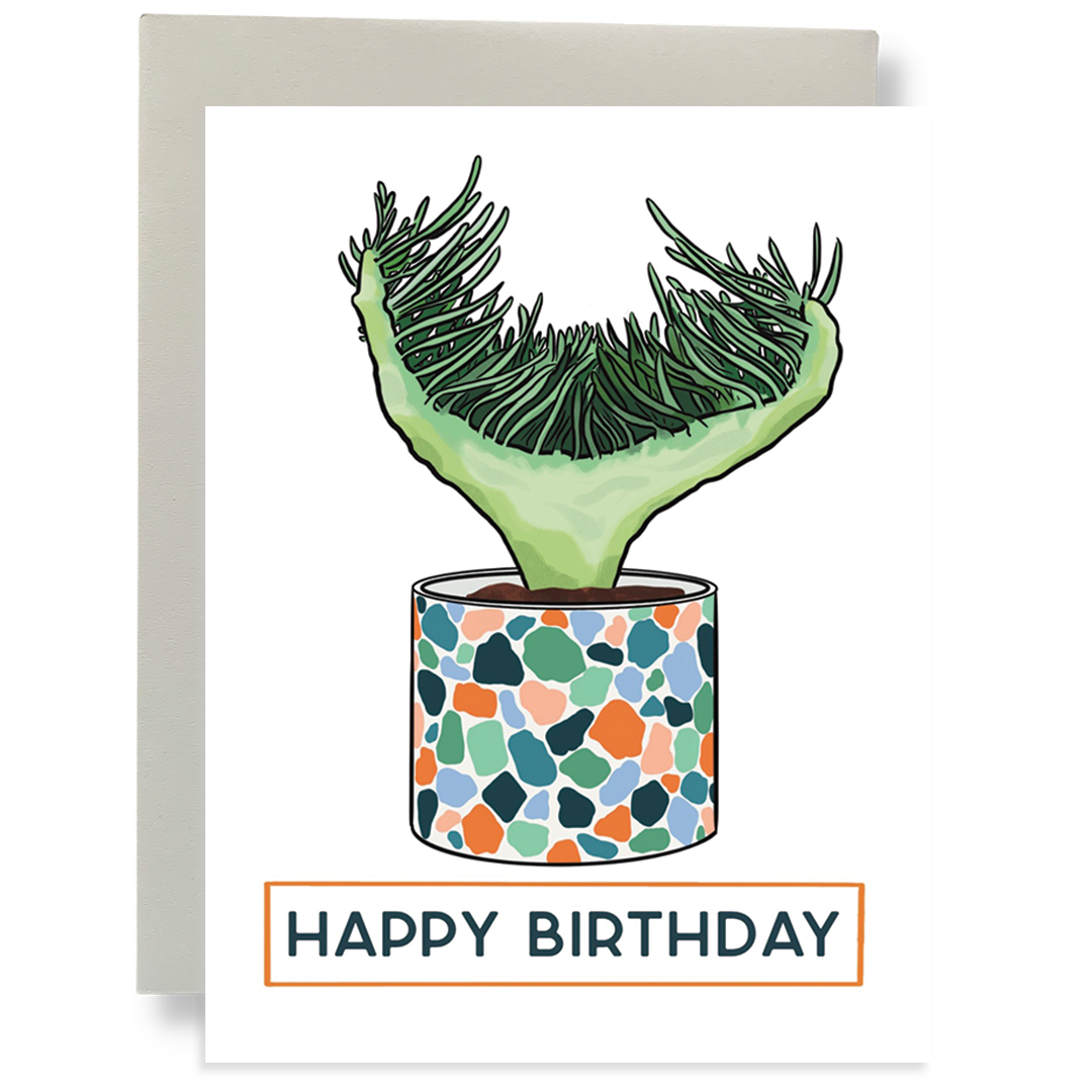 Box Set - Plant Peeps