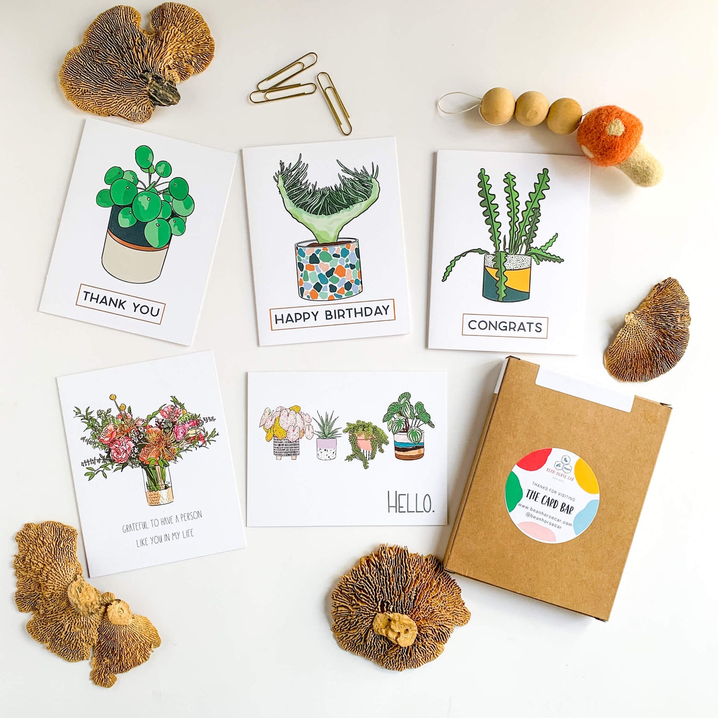 Box Set - Plant Peeps
