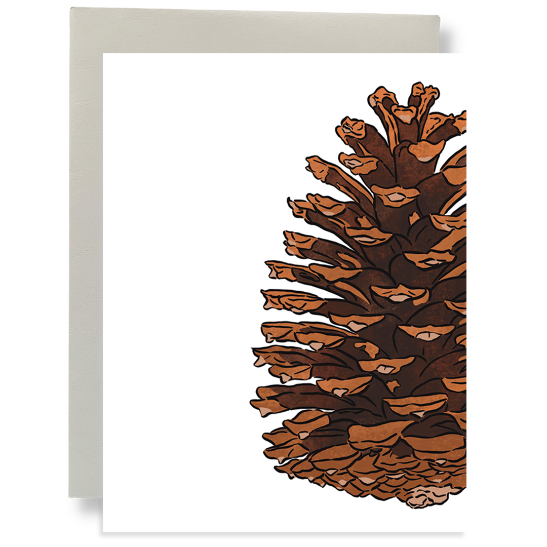 Box Set - Pinecone