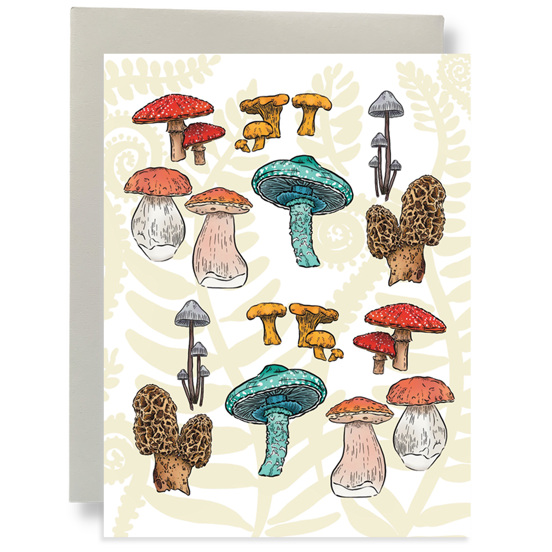 Box Set - Mushroom Forest
