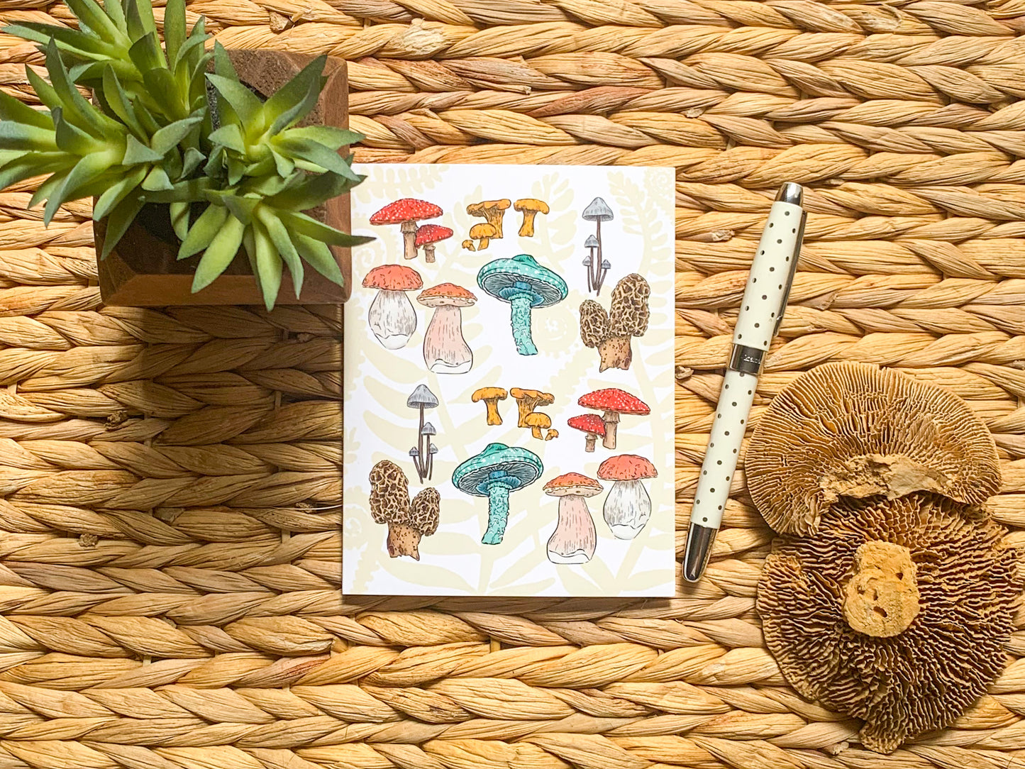 Box Set - Mushroom Forest