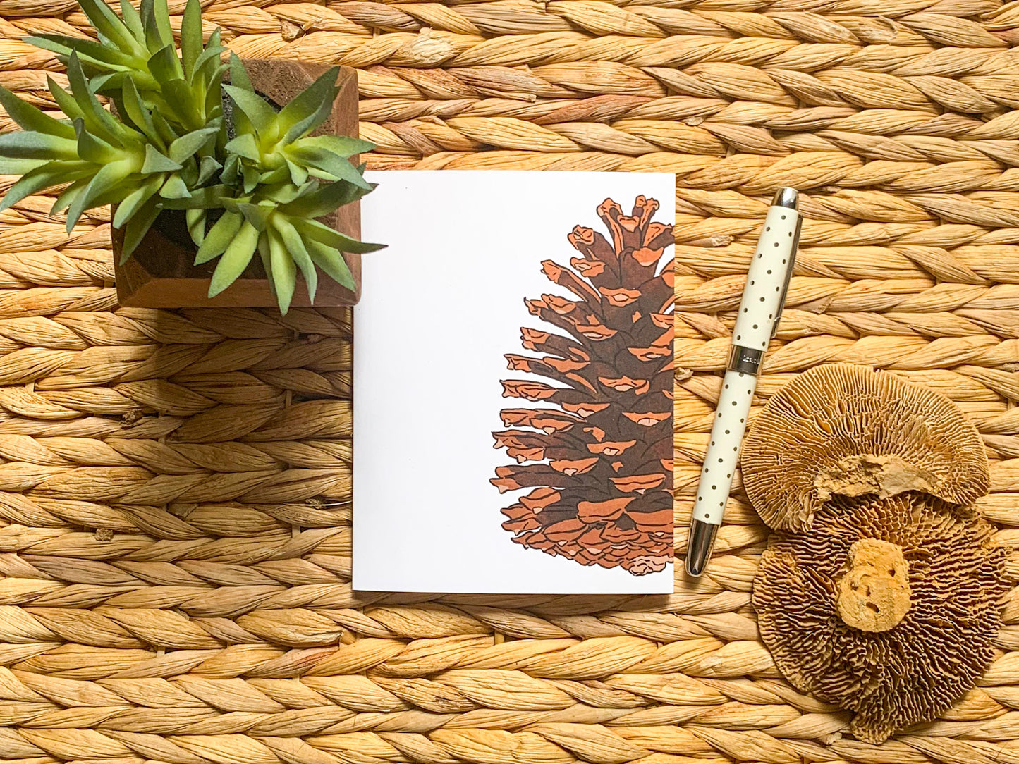 Box Set - Pinecone