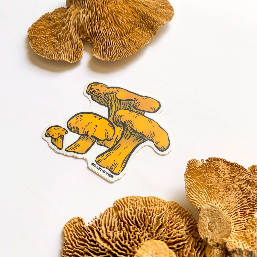 Chanterelle Mushrooms Sticker