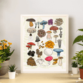 A to Z Mushrooms Art Print
