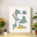 Pinnipeds - Seals and Sea Lions Art Prin
