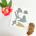 Pinnipeds - Seals and Sea Lions Art Prin