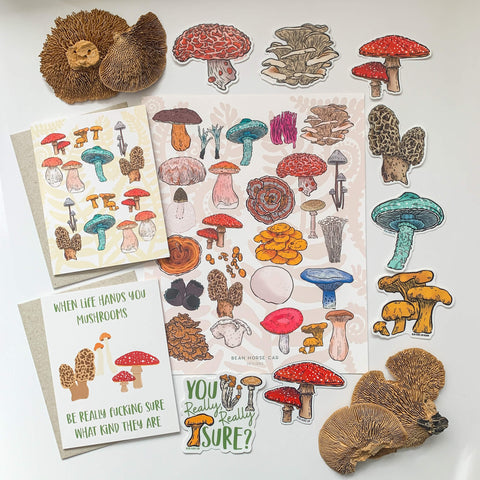 The Ultimate Forager Gift Box featuring the A to Z Mushrooms Art Print, 2 mushroom themed greeting cards, 7 mushroom stickers, and a fly agaric mushroom magnet. All placed on a white table with dried mushroom decor.