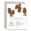 Loose Morels Greeting Card