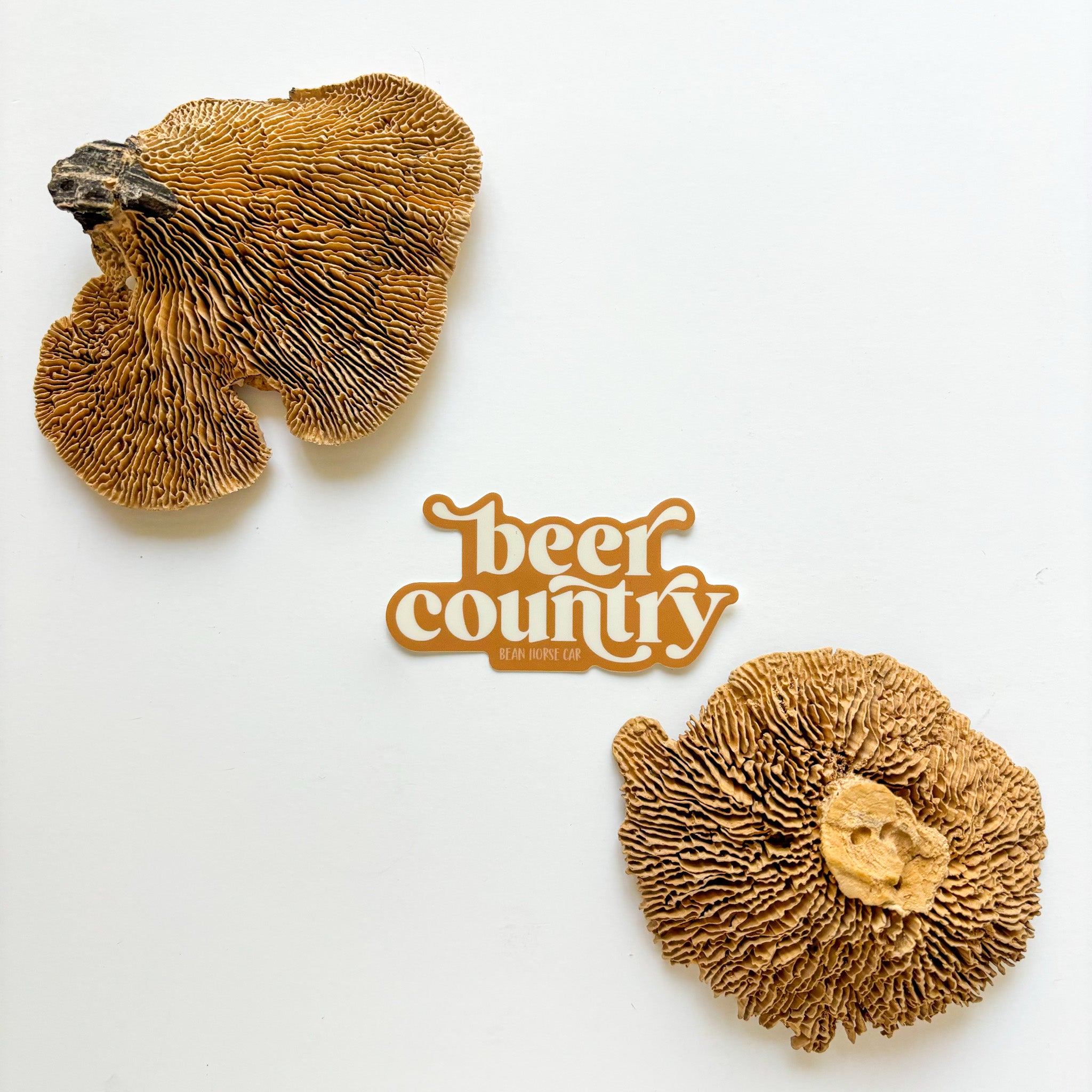 Beer Country Sticker