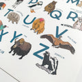 SALE Misprint - Animal Alphabet Art Print