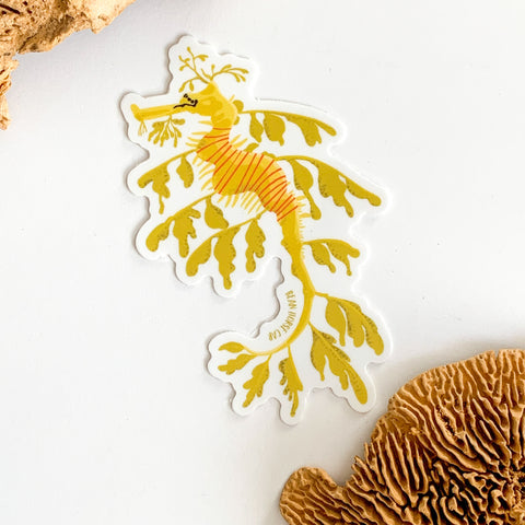 Leafy Seadragon Sticker