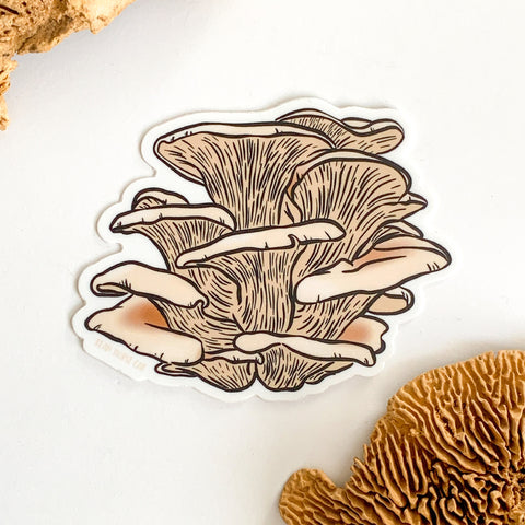 The Oyster Mushroom Sticker featuring a cluster of off-white oyster mushrooms. The sticker is on a white background with dried mushroom decor.