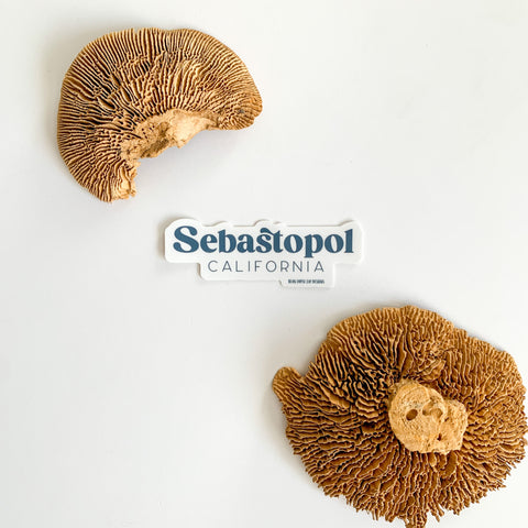 Sebastopol CA Sticker