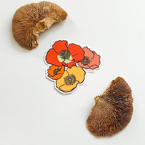 Icelandic Poppies Flower Sticker