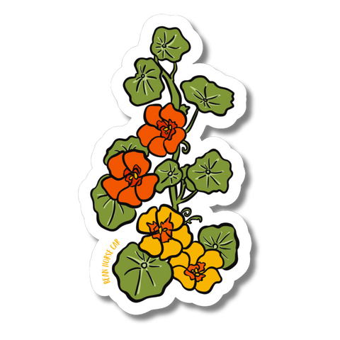 Nasturtium Flower Sticker