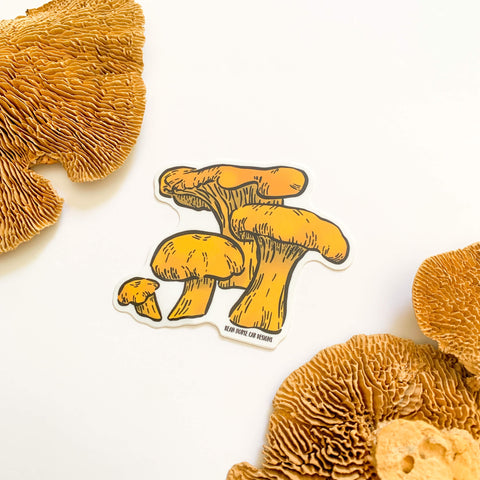 The Chanterelle Mushrooms Sticker featuring 4 bold yellow chanterelle mushrooms in various sizes. The sticker is on a white background with dried mushroom decor.