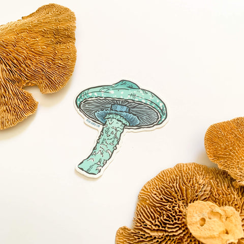 The Blue Roundhead Mushroom Sticker featuring a vibrant blue and white mushroom. The sticker is on a white background with dried mushroom decor.