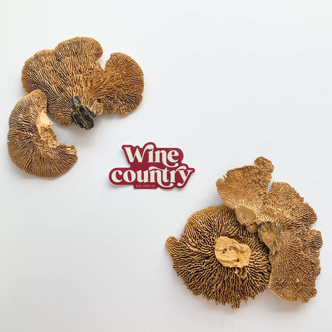 Wine Country - Merlot Sticker