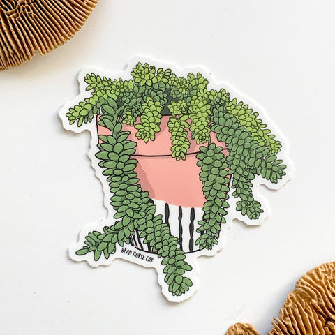 Bean Plot Sticker Houseplants Sticker Pack – Bean Horse Car Designs