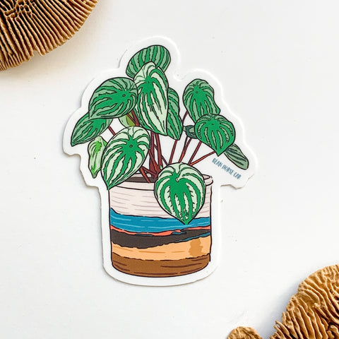 Houseplants Sticker Pack