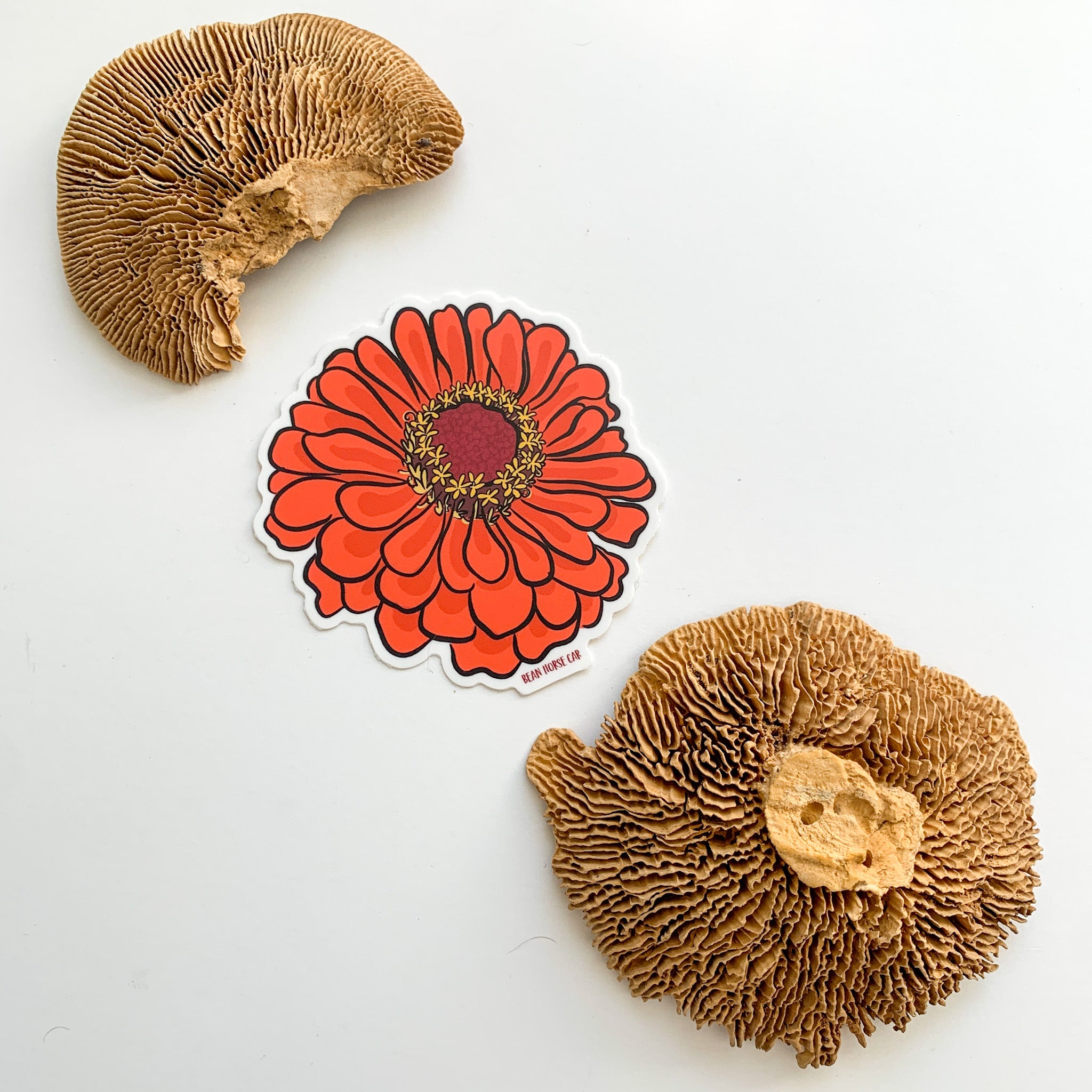 Zinnia Flower Sticker