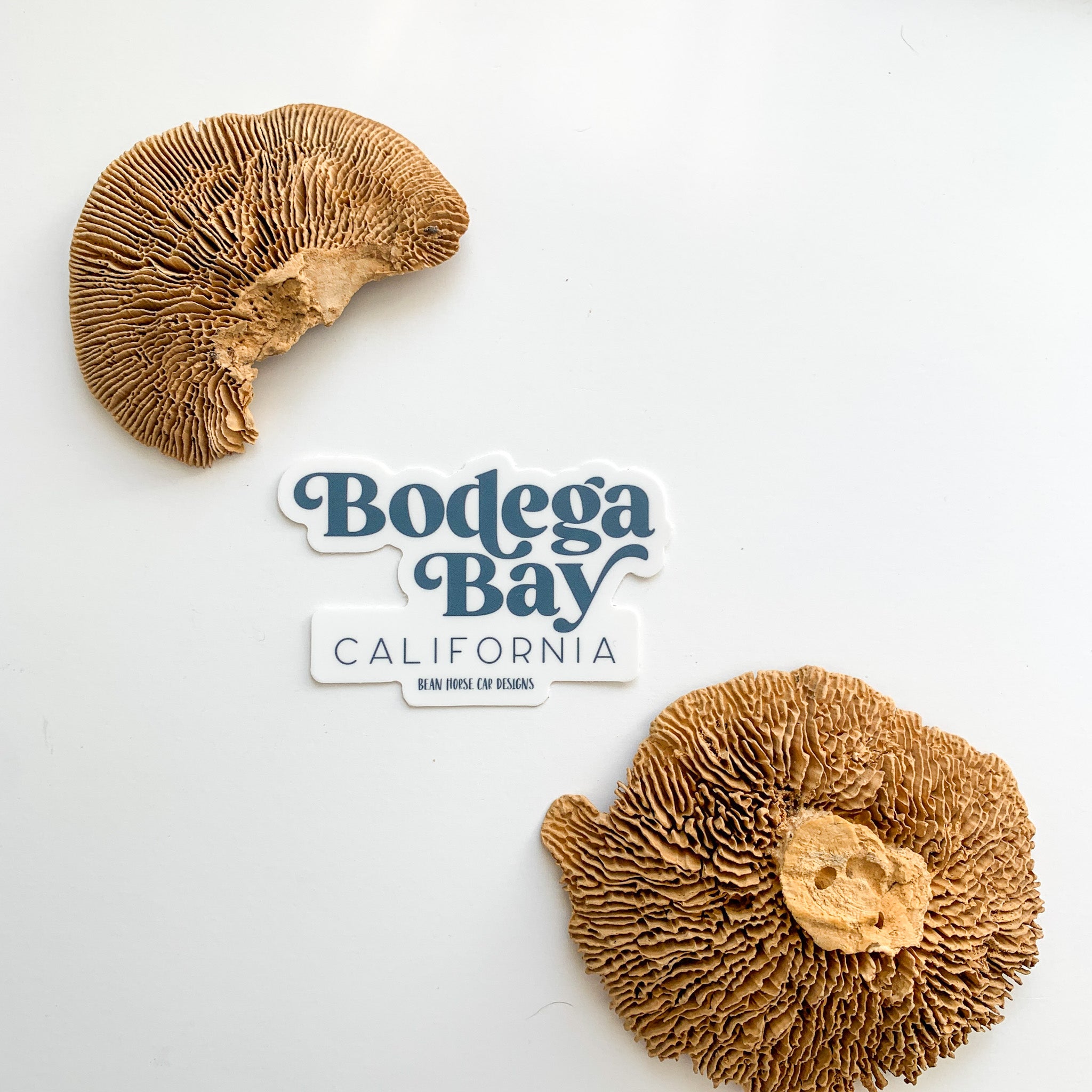 Bodega Bay CA Sticker - Sneak Peek