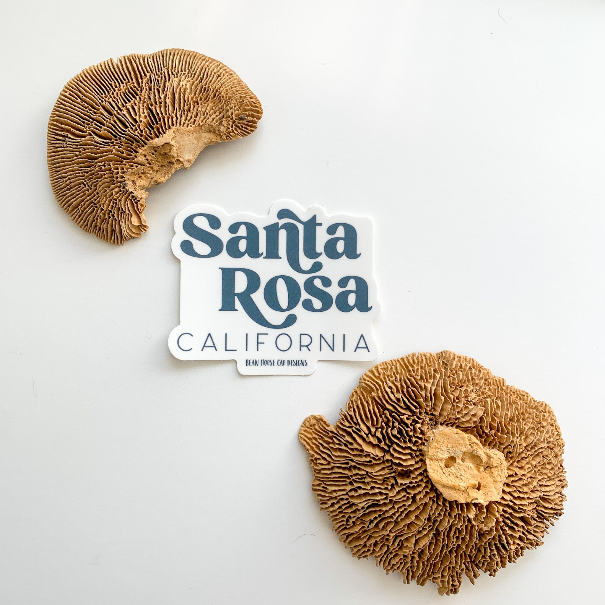 Santa Rosa CA Sticker - Sneak Peek