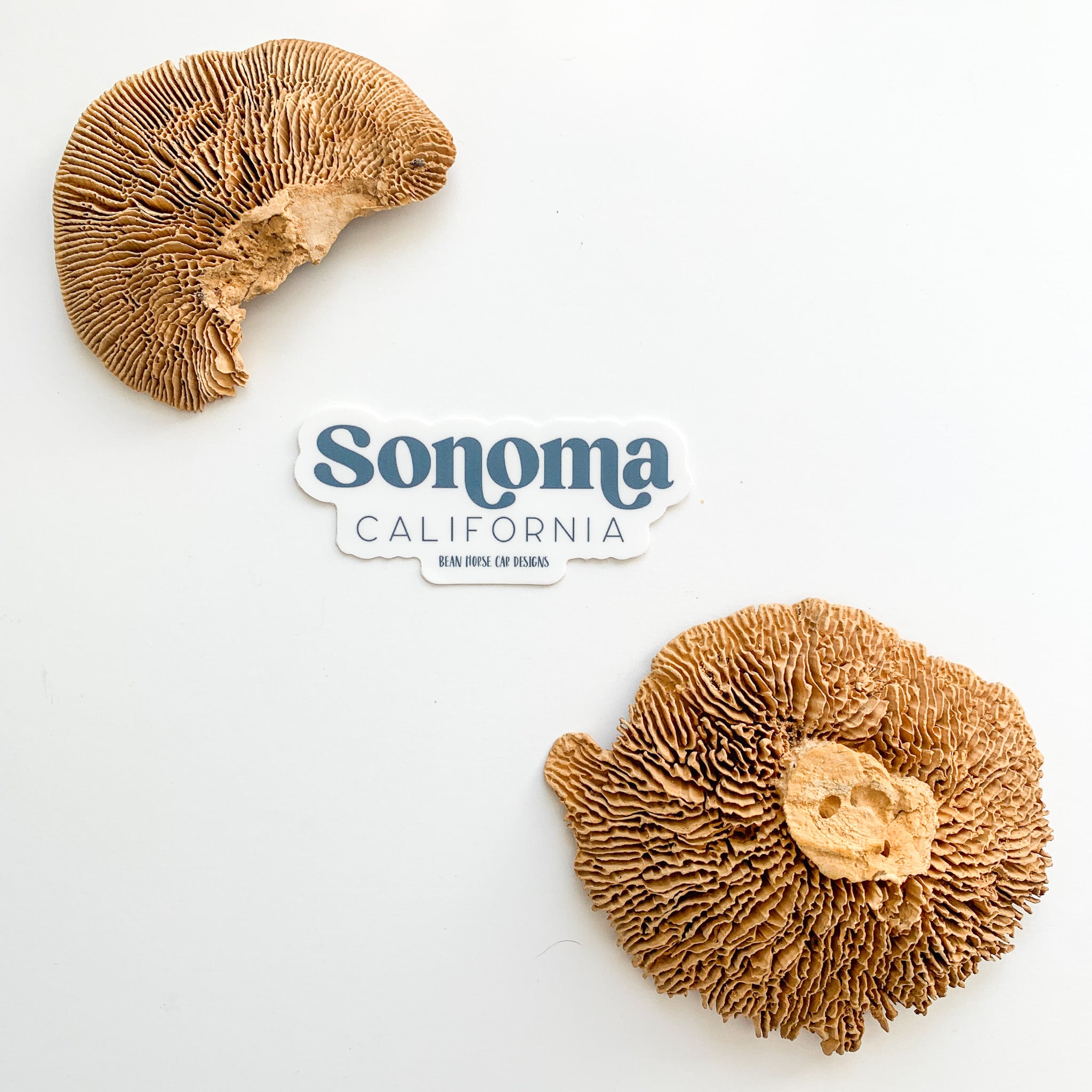 Sonoma CA Sticker - Sneak Peek