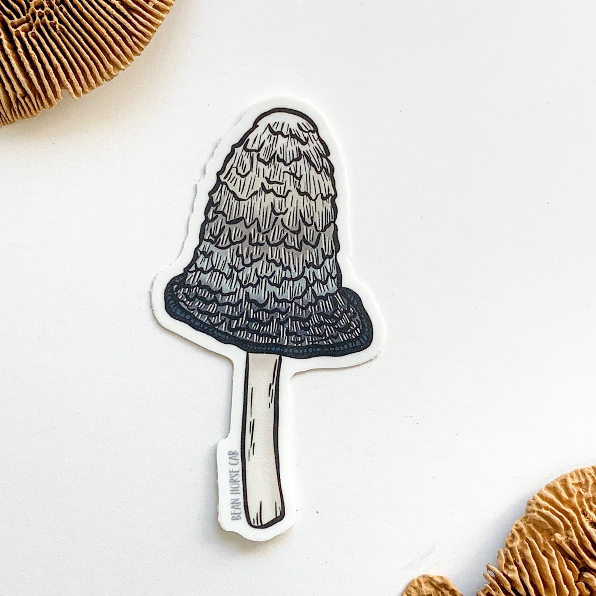 Shaggy Mane Mushroom Sticker - Sneak Peek