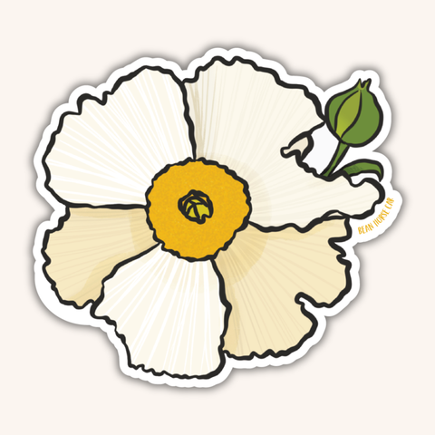 Matilija Poppy - Fried Egg Poppy Sticker