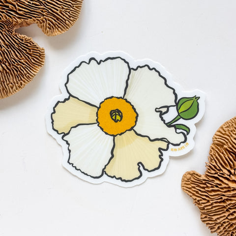 Matilija Poppy - Fried Egg Poppy Sticker