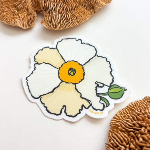 Matilija Poppy - Fried Egg Poppy Sticker