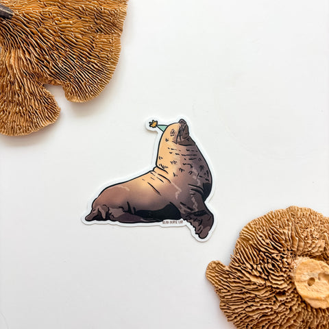 Party Chonkers the Steller Sea Lion Sticker