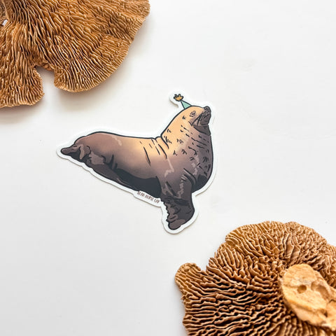 Party Chonkers the Steller Sea Lion Sticker
