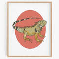 Iggy the Iguana Art Print