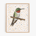 Fiona the Hummingbird Art Print
