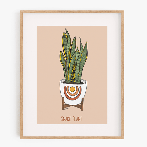 snake plant art Houseplant Series: Snake Plant Art Print
