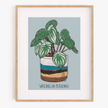 Houseplant Series: Watermelon Peperomia Art Print