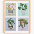 Houseplant Series: Collage - Broad Leaves Art Print