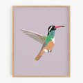 Minimalist Hummingbird Art Print