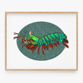 Party Mantis Shrimp Art Print
