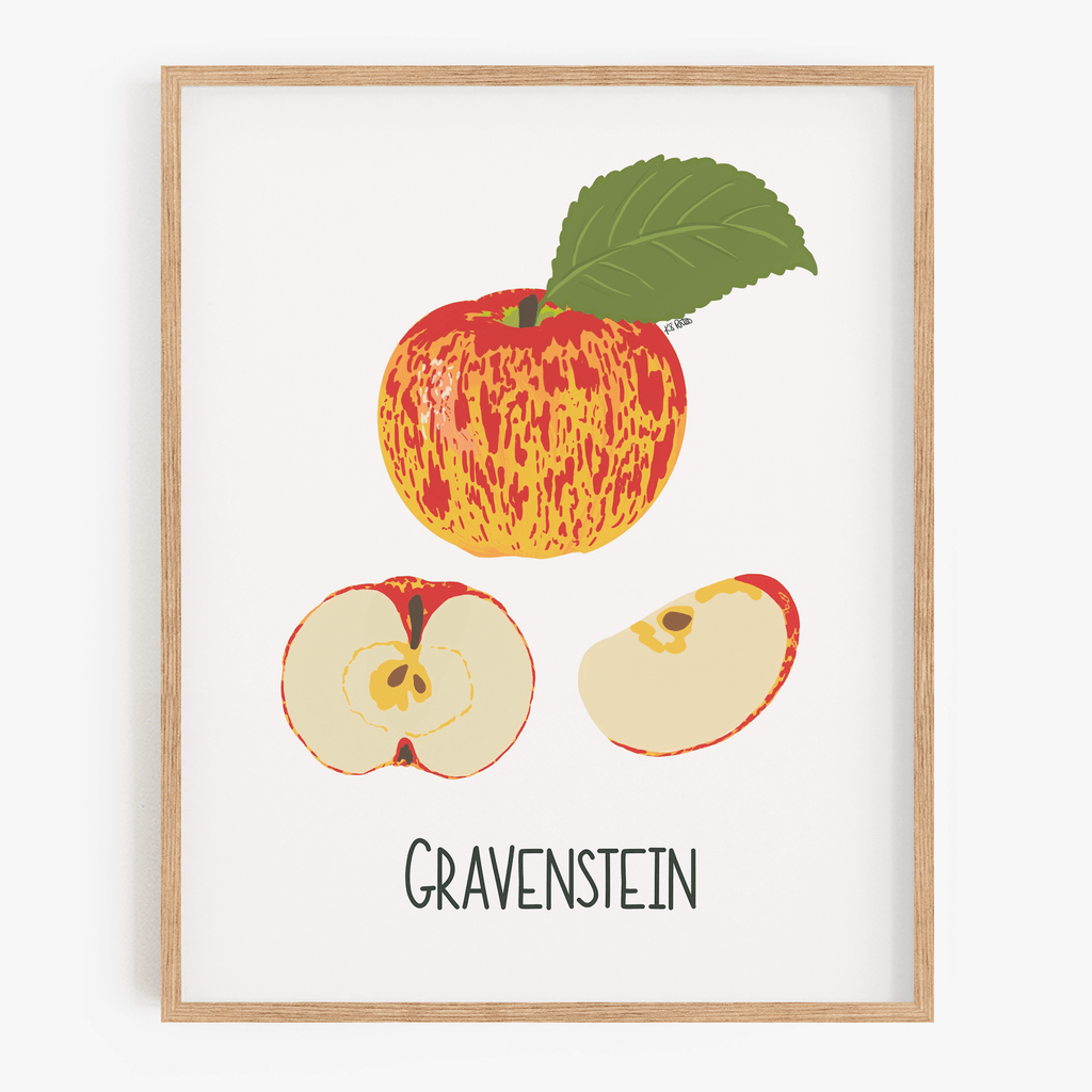 Gravenstein Apple Art Print