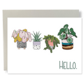 Hello. Houseplants Greeting Card