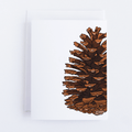 Pinecone Greeting Card