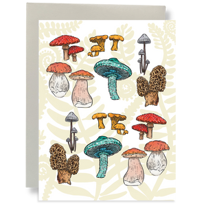 Box Set - Mushroom Forest