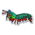 Mantis Shrimp Sticker